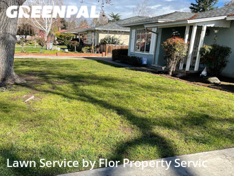 Yard Cutting nearby San Jose, CA, 