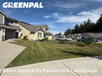 Yard Cutting in Olympia, 98513, Lawn Work by Passionate Landscape, work completed in Nov , 2025