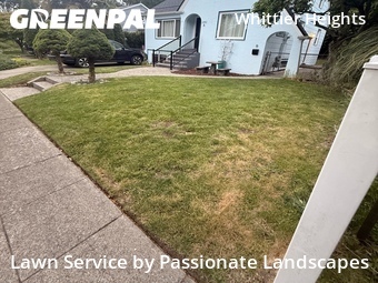Lawn Mowing Service nearby Seattle, WA, 