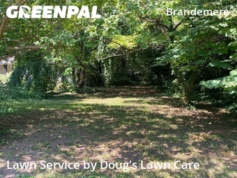 Lawn Maintenance nearby Raleigh, NC, 