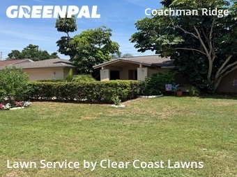 Lawn Care nearby Clearwater, FL, 