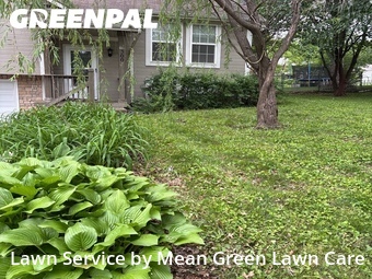 Grass Cuttingin Blue Springs,64014,Lawn Maintenance by Mean Green Lawn Care, work completed in Jun , 2026