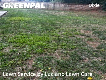 Lawn Mowing Service nearby Charlotte, NC, 