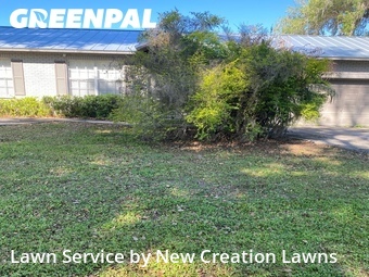 Lawn Care Service nearby Brandon, FL, 