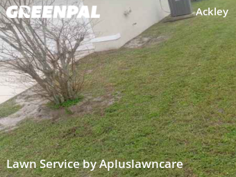 Lawn Cut nearby Cocoa, FL, 