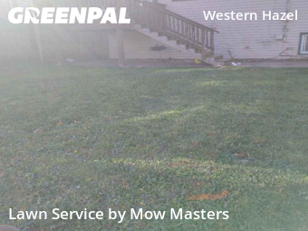 Lawn Service nearby Saint Paul, MN, 