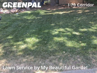 Yard Mowing nearby Arvada, CO, 