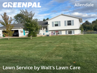 Lawn Work in Allendale, 49401, Yard Grooming by Walt’s Lawn Care, work completed in Oct , 2025