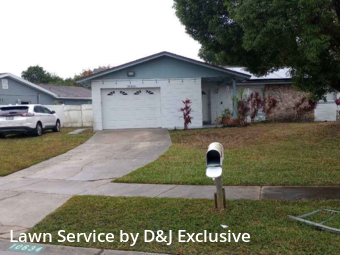 Grass Cut nearby Orlando, FL, 