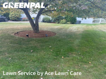 Lawn Cutting nearby Fairfield, CT, 