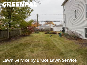 Weed Trimming in Forest Park, 60130, Lawn Mowing by Bruce Lawn Service, work completed in Dec , 2025
