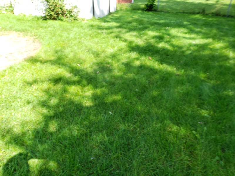 Lawn Mowing Contractor in Oak Lawn, IL, 60453