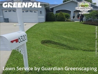 Grass Cutting nearby Fort Myers, FL, 
