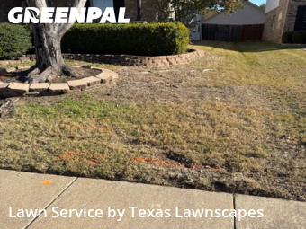 Backyard Landscaping In Mc Kinney,75070,Landscapers by Texas Lawnscapes, work completed in Jan , 2026