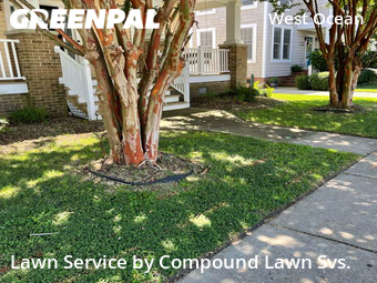 Lawn Maintenance nearby Norfolk, VA, 