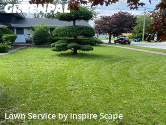 Yard Mowing nearby Harvey, IL, 