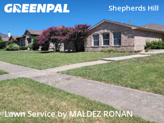 Lawn Mow nearby Frisco, TX, 