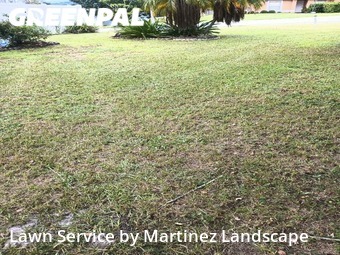 Lawn Cut nearby Clermont, FL, 