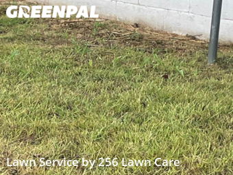 Lawn Care Service nearby Oxford, AL, 