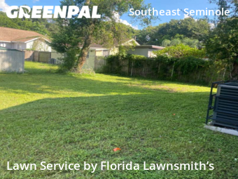 Lawn Mow nearby Tampa, FL, 