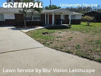 Lawn Mow nearby Tampa, FL, 