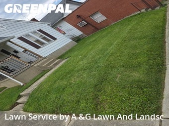 Grass Cut nearby Hamilton, OH, 