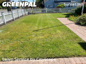 Grass Cut nearby Seattle, WA, 