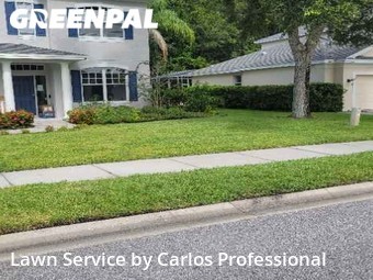 Lawn Mow nearby Oldsmar, FL, 