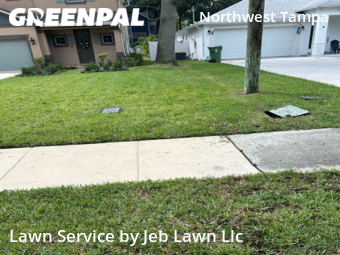 Lawn Mow nearby Tampa, FL, 