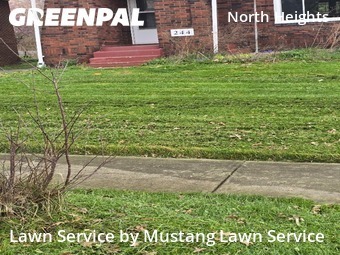 Yard Cutting nearby Youngstown, OH, 