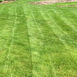 lawn-care-services-in-Harvey-IL