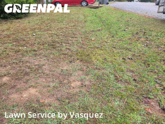 Lawn Care nearby White House, TN, 