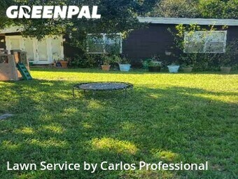 Grass Cut nearby St. Petersburg, FL, 