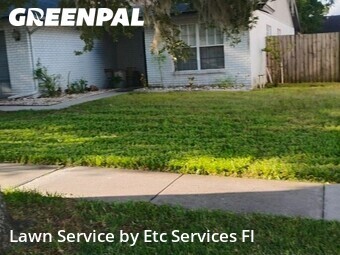 Lawn Cutting nearby Tampa, FL, 