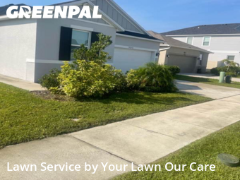 Lawn Cutting nearby Davenport, FL, 