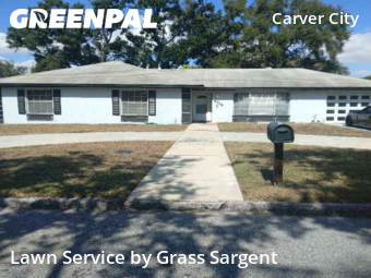 Grass Cutin Tampa,33607,Yard Cutting by Grass Sargent, work completed in Nov , 2025