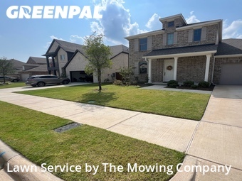 Lawn Mow nearby Forney, TX, 
