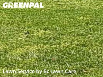 Grass Cutting nearby Knightdale, NC, 