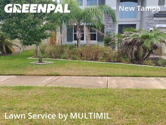 Grass Cut nearby Tampa, FL, 