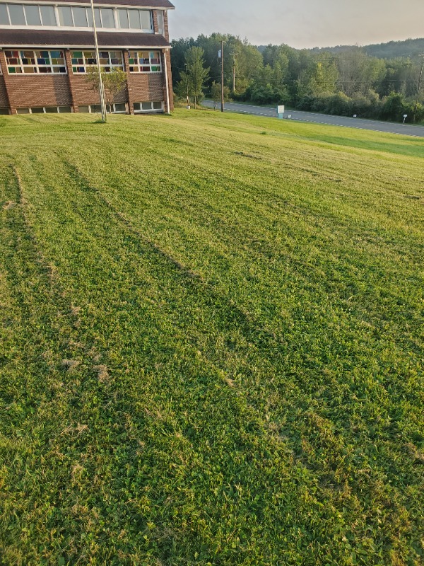 Oscar Bolanos Lawn Care Services in Endicott, NY