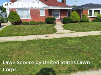 Grass Cut nearby Wyandotte, MI, 