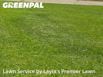 Lawn Mow nearby Mansfield, OH, 