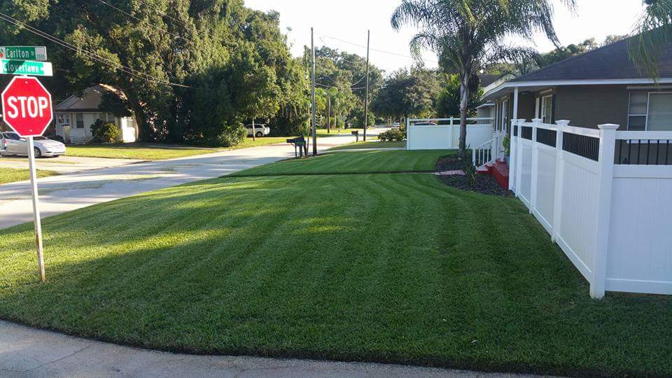 Lawn Care Service in Orlando, FL, 32836