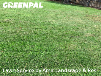 Lawn Care nearby Lancaster, TX, 