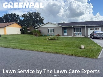 Lawn Cutin Lakeland,33813,Lawn Mowing by The Lawn Care Experts, work completed in Dec , 2025