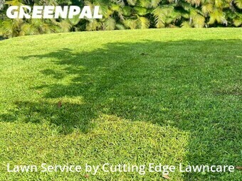 Grass Cutting nearby Port St. Lucie, FL, 