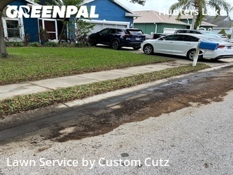 Grass Cut nearby New Port Richey, FL, 