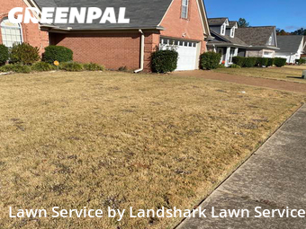 Lawn Cutting nearby Arlington, MS, 