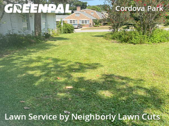 Yard Cutting nearby Pensacola, GA, 