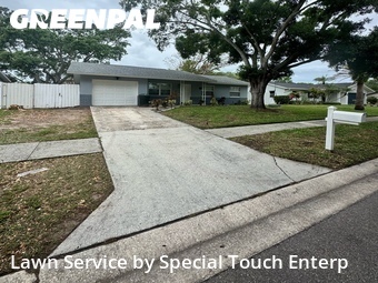 Grass Cut nearby Dunedin, FL, 